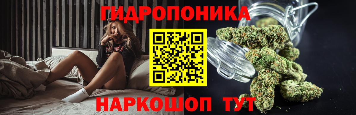 Бошки марихуана Bruce Banner  МАРИХУАНА план  Бошки марихуана тримм  Бошки марихуана семена  Вход с VPN  Туймазы 
